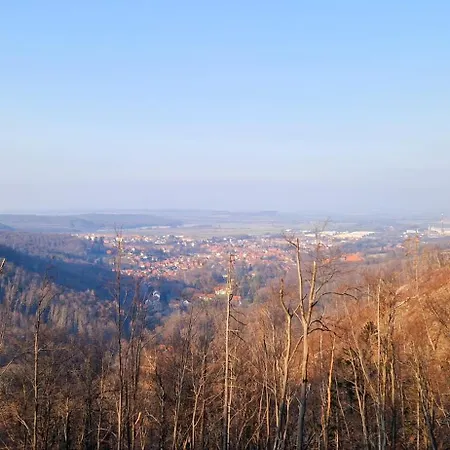 Schwarzer Hirsch Wieda