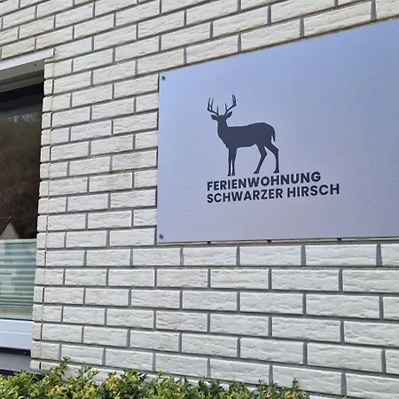 דירה Schwarzer Hirsch