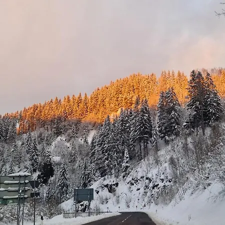 דירה Schwarzer Hirsch *