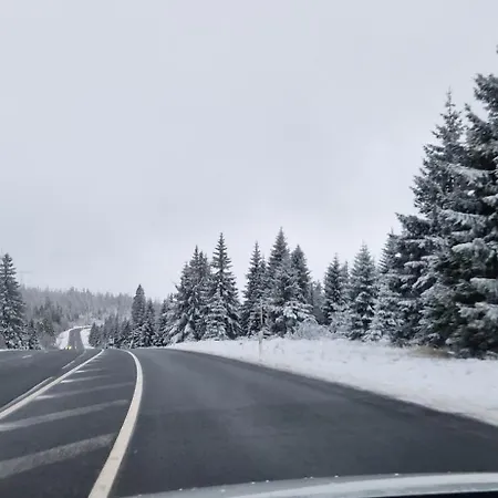 דירה Schwarzer Hirsch Wieda