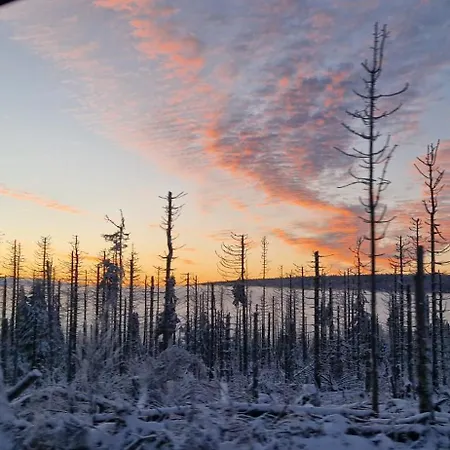 Schwarzer Hirsch דירה *