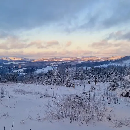 דירה Schwarzer Hirsch *