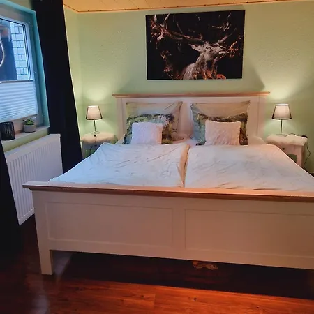 דירה Schwarzer Hirsch