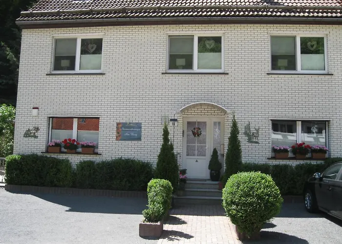 Schwarzer Hirsch شقة Wieda