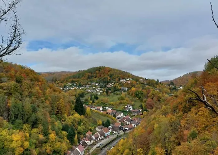 Schwarzer Hirsch * Wieda