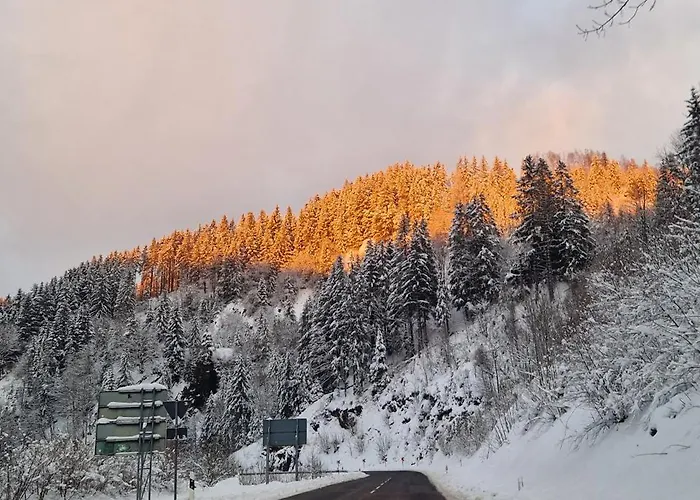 شقة Schwarzer Hirsch *