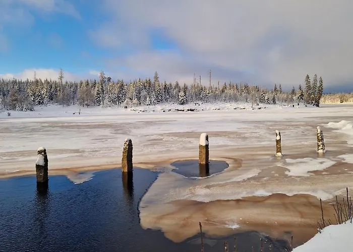 Schwarzer Hirsch شقة Wieda