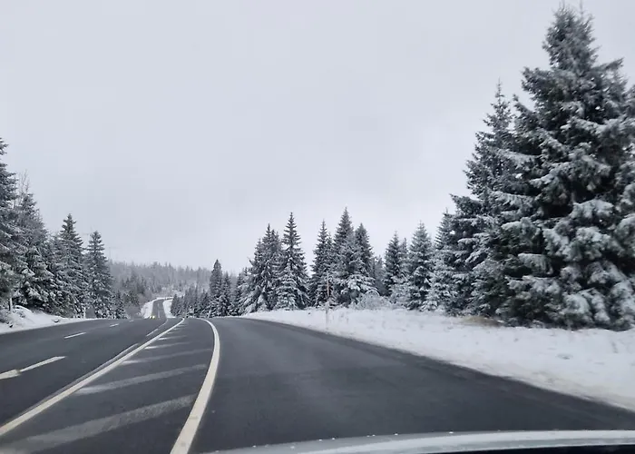 شقة Schwarzer Hirsch Wieda