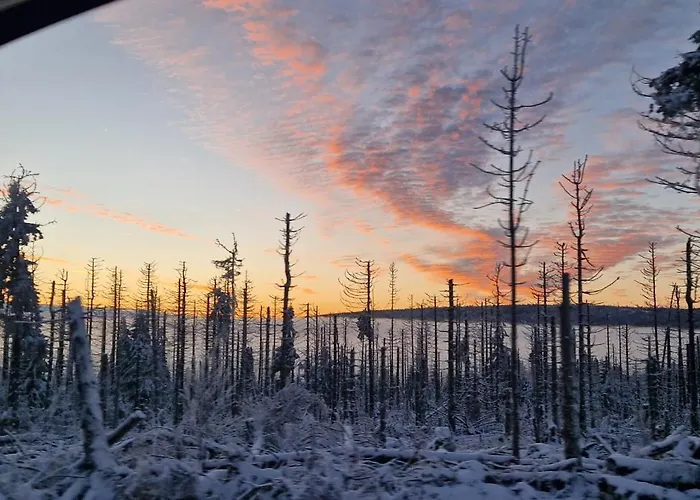 Schwarzer Hirsch شقة *