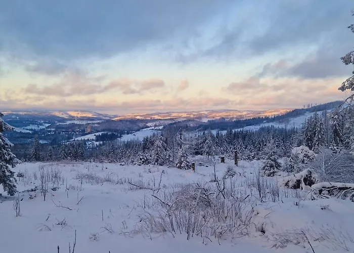 شقة Schwarzer Hirsch *